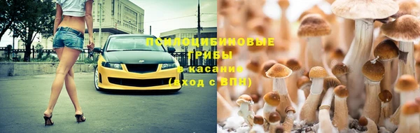 ECSTASY Алексеевка