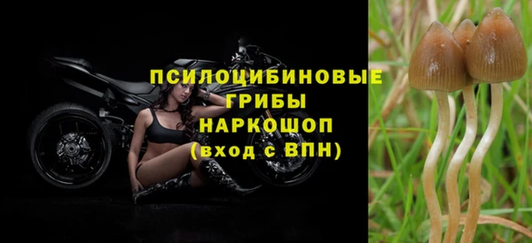 прущая мука Абаза