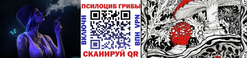 Псилоцибиновые грибы прущие грибы  магазин продажи   KRAKEN ССЫЛКА  Искитим 